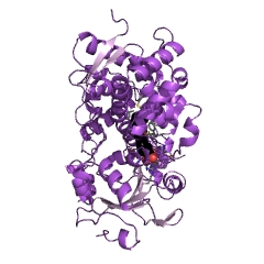 Example Structure of quinine 3-monooxygenase EC#: 1.14.13.67