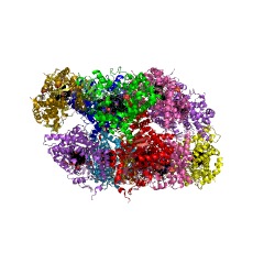 Example Structure of steroid 11beta-monooxygenase EC#: 1.14.15.4