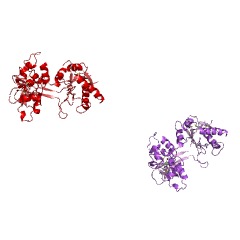 Example Structure of diferric-transferrin reductase EC#: 1.16.1.2