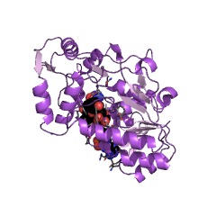Example Structure of leucoanthocyanidin reductase EC#: 1.17.1.3
