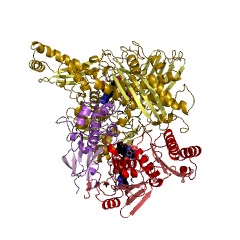 Example Structure of xanthine oxidase EC#: 1.17.3.2