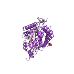 Example Structure of glycolaldehyde dehydrogenase EC#: 1.2.1.21