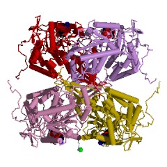 Example Structure of retinal dehydrogenase EC#: 1.2.1.36