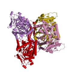Example Structure of betaine-aldehyde dehydrogenase EC#: 1.2.1.8