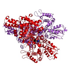 Example Structure of oxoglutarate dehydrogenase (succinyl-transferring) EC#: 1.2.4.2