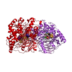 Example Structure of aldehyde ferredoxin oxidoreductase EC#: 1.2.7.5