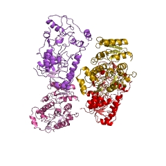 Example Structure of (-)-pinoresinol reductase EC#: 1.23.1.3