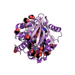 Example Structure of 2,3-bis-O-geranylgeranyl-sn-glycerol 1-phosphate reductase [NAD(P)H] EC#: 1.3.1.101