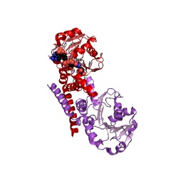 Example Structure of prephenate dehydrogenase (NADP+) EC#: 1.3.1.13