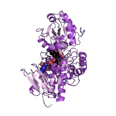 Example Structure of fumarate reductase (NADH) EC#: 1.3.1.6