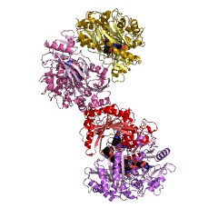 Example Structure of aclacinomycin-A oxidase EC#: 1.3.3.14