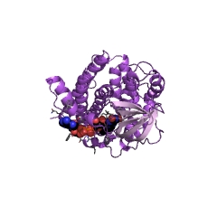 Example Structure of glutaryl-CoA dehydrogenase (ETF) EC#: 1.3.8.6