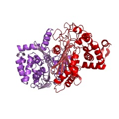 Example Structure of N-methylalanine dehydrogenase EC#: 1.4.1.17