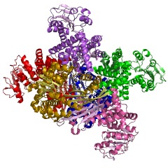 Example Structure of glutamate dehydrogenase [NAD(P)+] EC#: 1.4.1.3