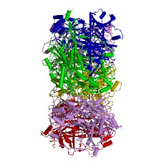 Example Structure of primary-amine oxidase EC#: 1.4.3.21