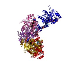 Example Structure of pyrroline-5-carboxylate reductase EC#: 1.5.1.2