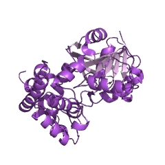 Example Structure of Opine dehydrogenase EC#: 1.5.1.28