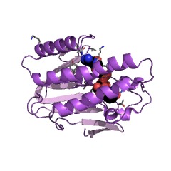 Example Structure of 6,7-dihydropteridine reductase EC#: 1.5.1.34