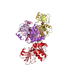 Example Structure of riboflavin reductase [NAD(P)H] EC#: 1.5.1.41