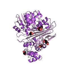 Example Structure of saccharopine dehydrogenase (NADP+, L-lysine-forming) EC#: 1.5.1.8