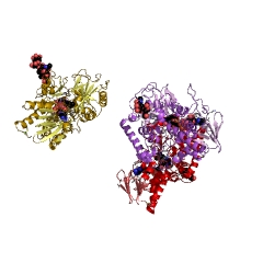 Example Structure of N8-acetylspermidine oxidase (propane-1,3-diamine-forming) EC#: 1.5.3.15