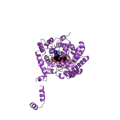Example Structure of proline dehydrogenase EC#: 1.5.5.2