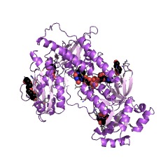 Example Structure of thioredoxin reductase (NADPH) EC#: 1.6.4.5