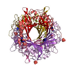 Example Structure of factor-independent urate hydroxylase EC#: 1.7.3.3