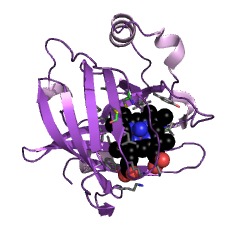 Example Structure of nitrite dismutase EC#: 1.7.6.1