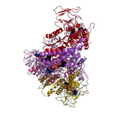 Example Structure of dihydrolipoyl dehydrogenase EC#: 1.8.1.4