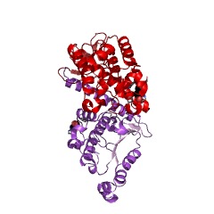 Example Structure of adenylyl-sulfate reductase (thioredoxin) EC#: 1.8.4.10