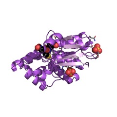 Example Structure of glutathione dehydrogenase (ascorbate) EC#: 1.8.5.1