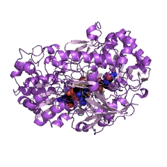 Example Structure of respiratory dimethylsulfoxide reductase EC#: 1.8.5.3