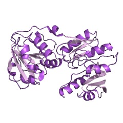 Example Structure of 16S rRNA (guanine1207-N2)-methyltransferase EC#: 2.1.1.172