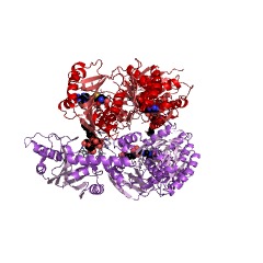 Example Structure of 23S rRNA (guanine2445-N2)-methyltransferase EC#: 2.1.1.173