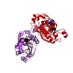 Example Structure of 16S rRNA (adenine1408-N1)-methyltransferase EC#: 2.1.1.180