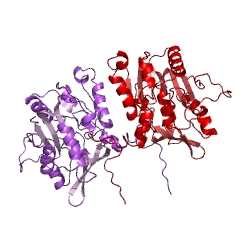 Example Structure of glycine N-methyltransferase EC#: 2.1.1.20