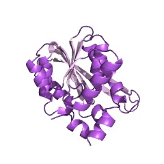 Example Structure of 2-polyprenyl-6-hydroxyphenol methylase EC#: 2.1.1.222