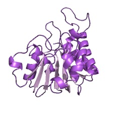 Example Structure of 23S rRNA (cytidine1920-2'-O)-methyltransferase EC#: 2.1.1.226