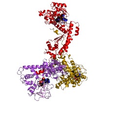 Example Structure of [fructose-bisphosphate aldolase]-lysine N-methyltransferase EC#: 2.1.1.259