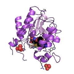 Example Structure of demethyldecarbamoylnovobiocin O-methyltransferase EC#: 2.1.1.285