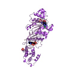 Example Structure of 3-O-phospho-polymannosyl GlcNAc-diphospho-ditrans,octacis-undecaprenol 3-phospho-methyltransferase EC#: 2.1.1.294
