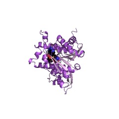 Example Structure of isoflavone 4'-O-methyltransferase EC#: 2.1.1.46