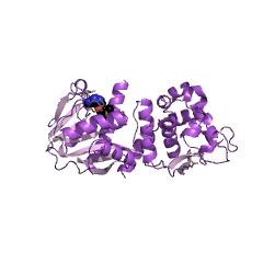 Example Structure of licodione 2'-O-methyltransferase EC#: 2.1.1.65
