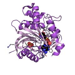 Example Structure of thioether S-methyltransferase EC#: 2.1.1.96