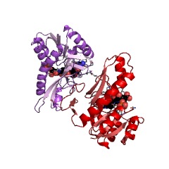 Example Structure of phosphoribosylglycinamide formyltransferase EC#: 2.1.2.2
