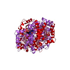 Example Structure of phosphoribosylaminoimidazolecarboxamide formyltransferase EC#: 2.1.2.3