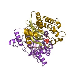 Example Structure of deoxycytidylate 5-hydroxymethyltransferase EC#: 2.1.2.8