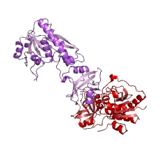 Example Structure of methionyl-tRNA formyltransferase EC#: 2.1.2.9