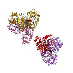 Example Structure of 1-deoxy-D-xylulose-5-phosphate synthase EC#: 2.2.1.7